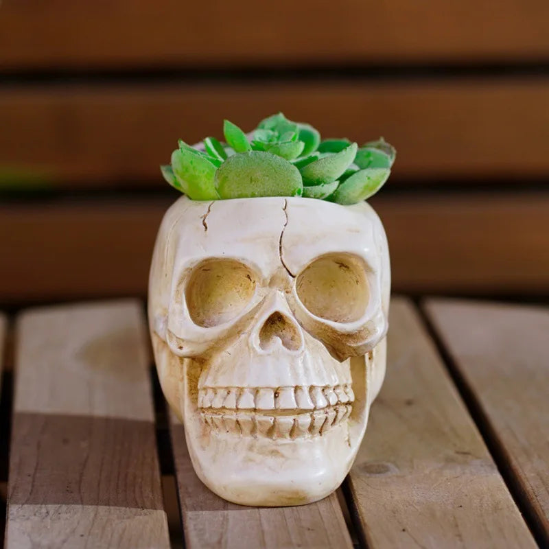 Realistic resin skull figurine