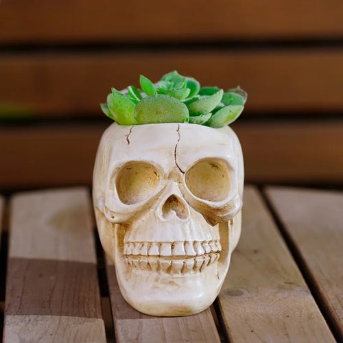 Realistic resin skull figurine